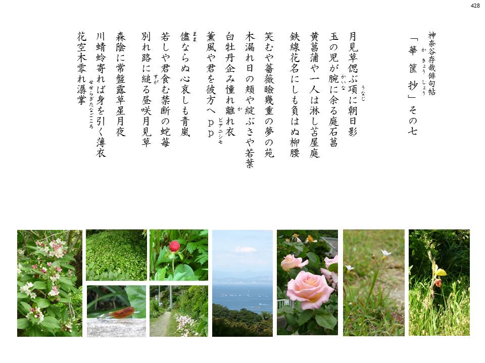 kakyou07-#428
