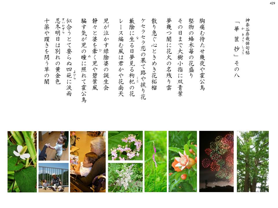 kakyou08-#429