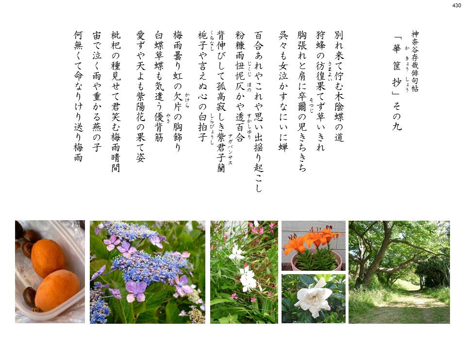 kakyou09-#430