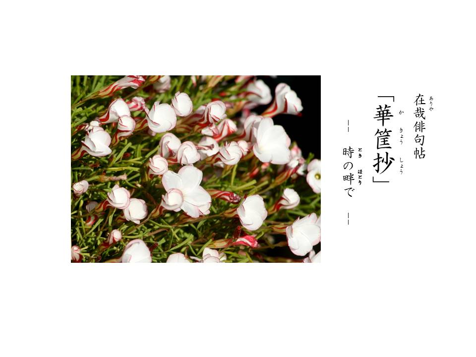 華筐抄　#422-438