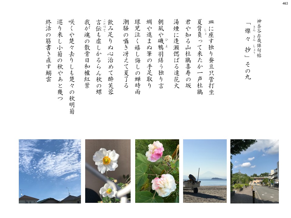 sansan09-#463