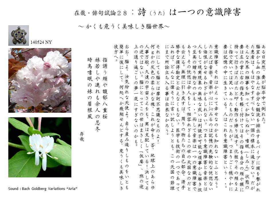 在哉・俳句雑感 28