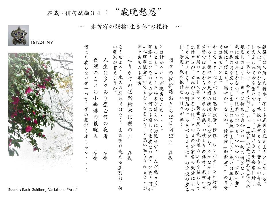 在哉・俳句雑感 34