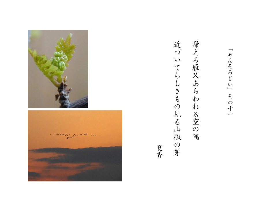 あんそろじぃ１１