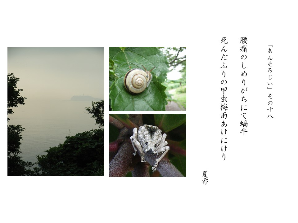 あんそろじぃ１８