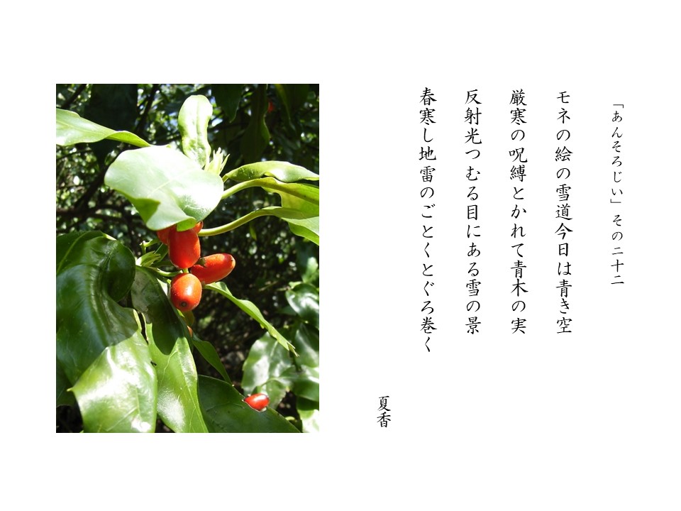 あんそろじぃ２２