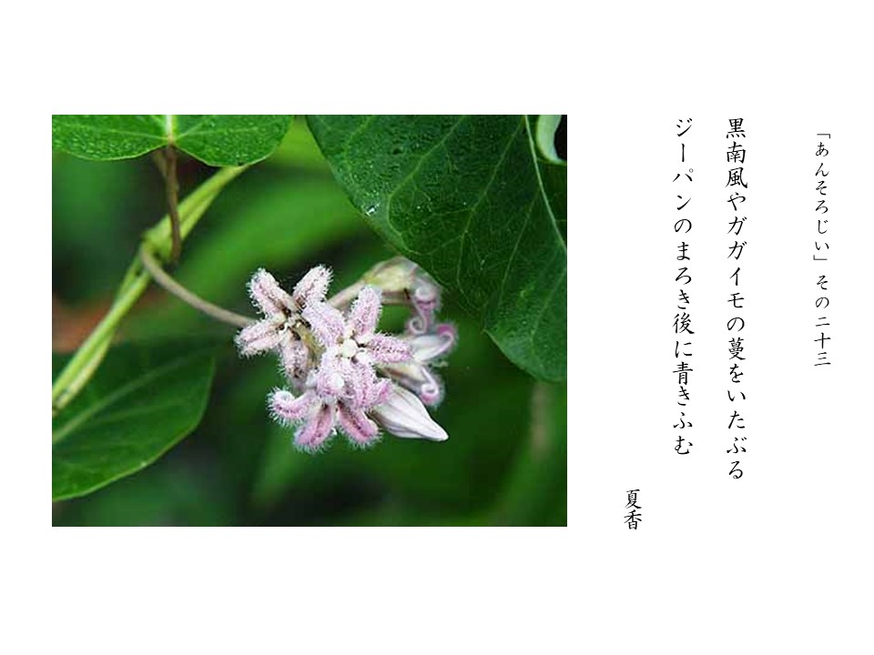 あんそろじぃ２３