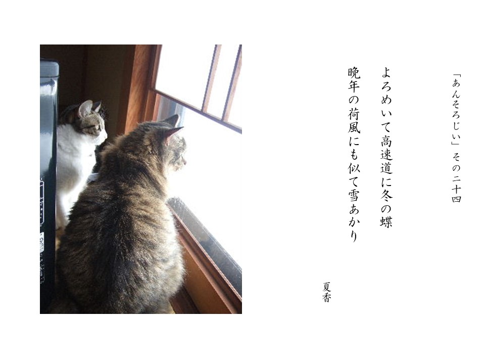 あんそろじぃ２４