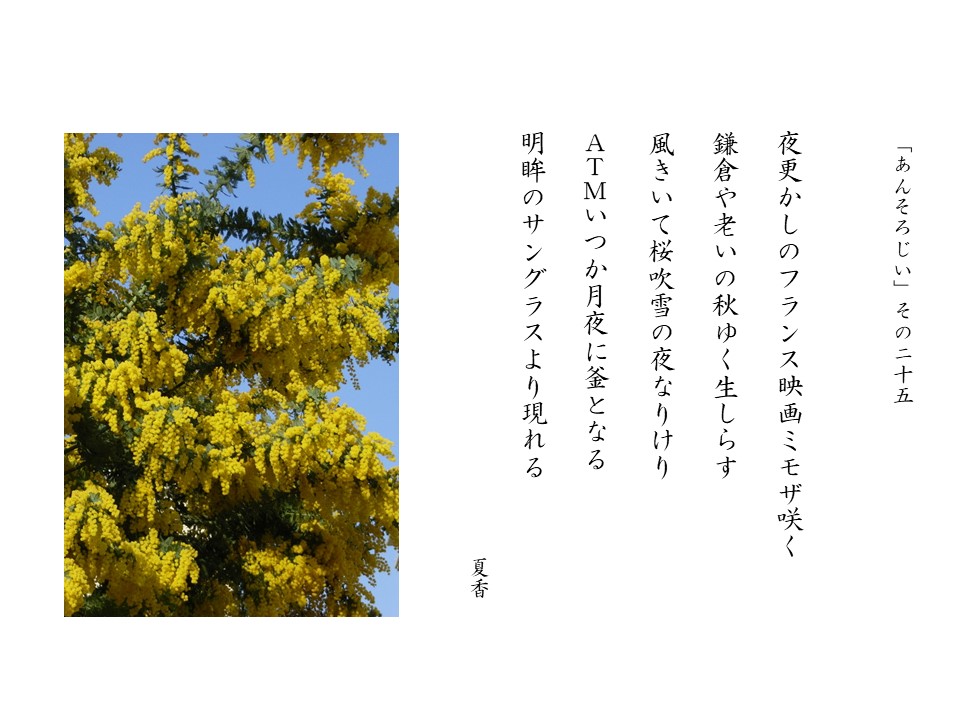 あんそろじぃ２５