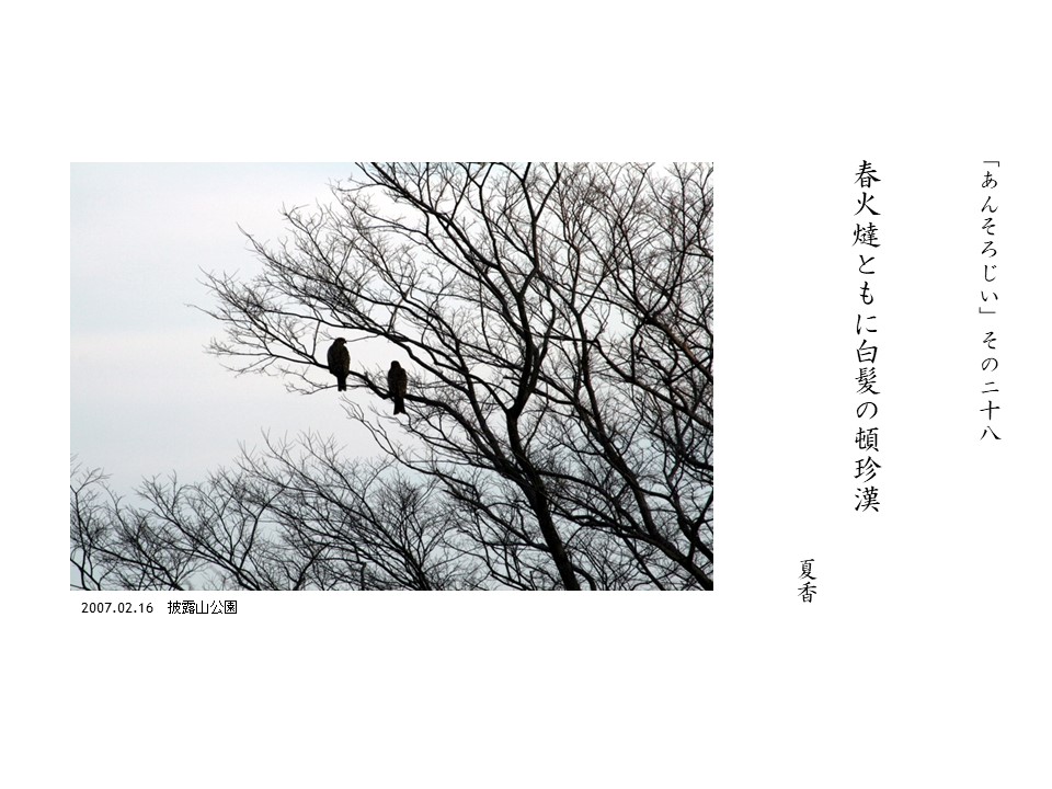 あんそろじぃ２８