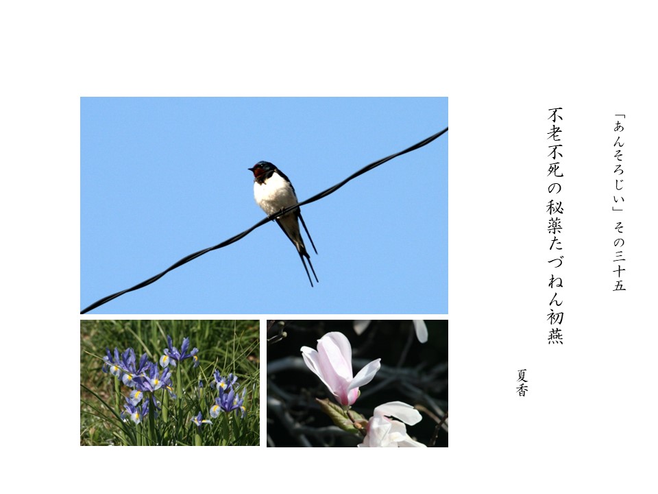 あんそろじぃ３５