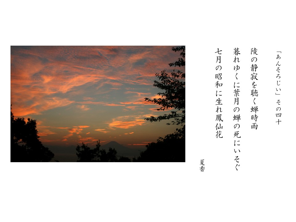 あんそろじぃ４０