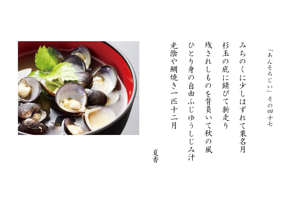 あんそろじぃ４７